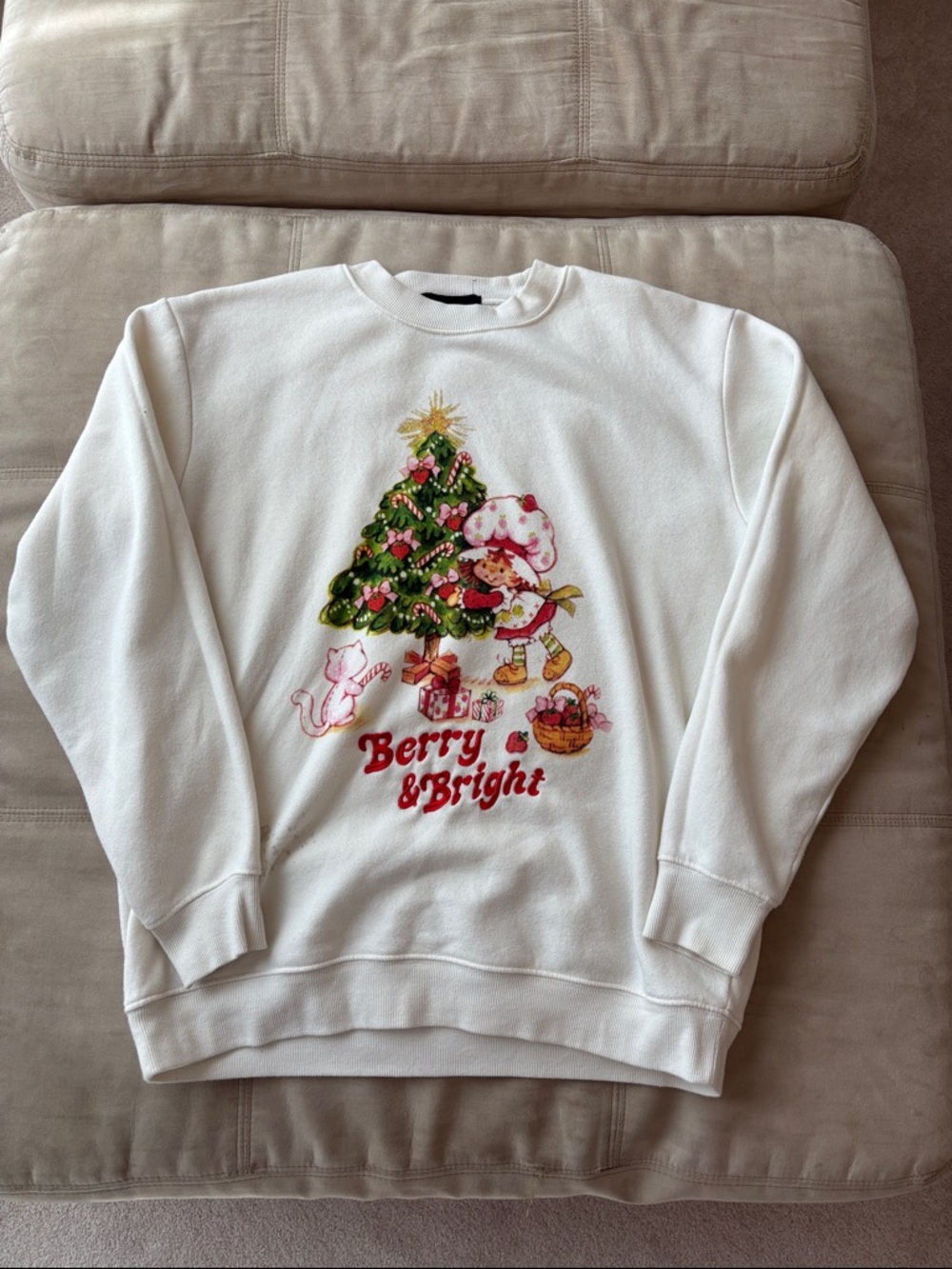 Women’s Strawberry Shortcake “Berry & Bright” Sweatshirt Size S